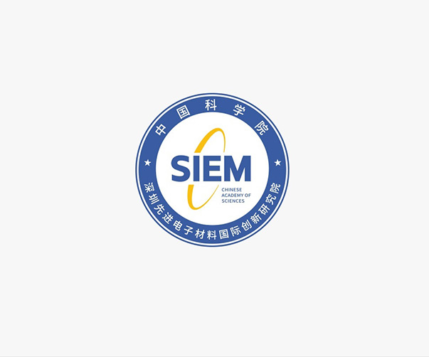 廈門標志設計：鷺島夜景與城市燈光的絢爛交織